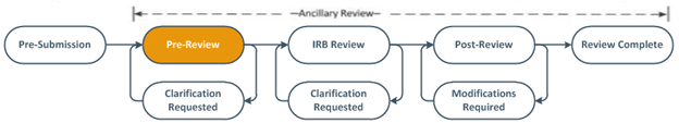 Image of Ancillary Review in Workflow
